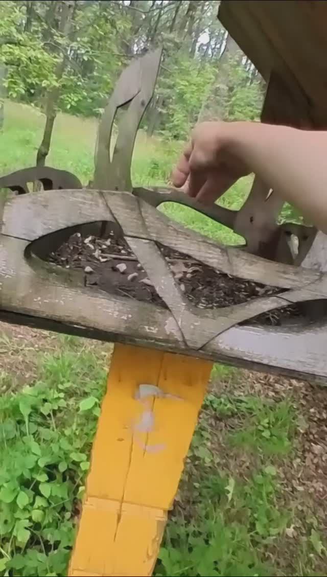 Кормлю белок в парке Москвы