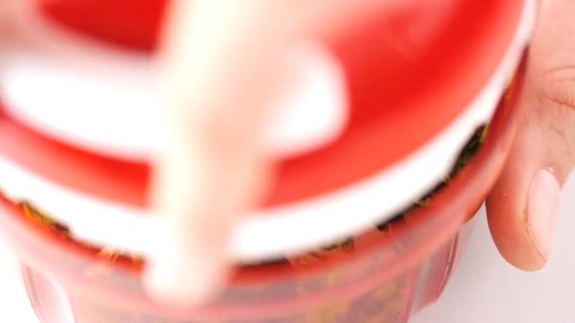 Турбоизмельчитель Tupperware смотреть онлайн