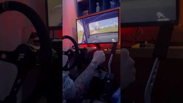 Citroen C4 Rally: How to (not) be in a top 3 chart #dirtrally2 #fanatec смотреть онлайн