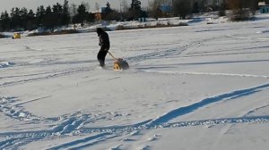 Толкач для лыжника ЁЖ-2.
