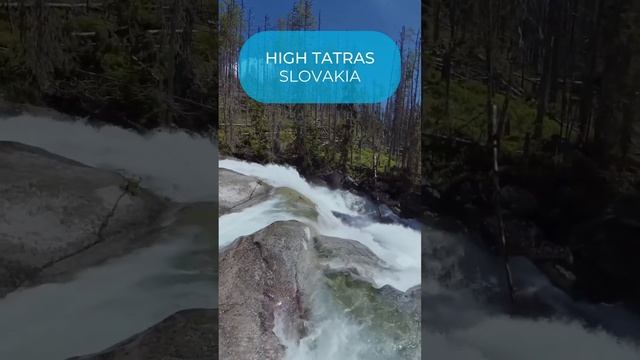 360 Video: Cold Creek, High Tatras in Slovakia ??? #travel #vrvideo #360video #vr смотреть онлайн
