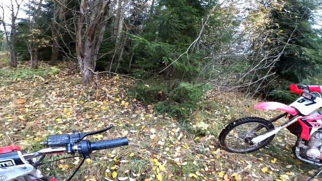 Эндуро 12 лет школьник питбайк 125cc смотреть онлайн