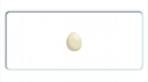 Oxford Phonics World 1, letter Ee