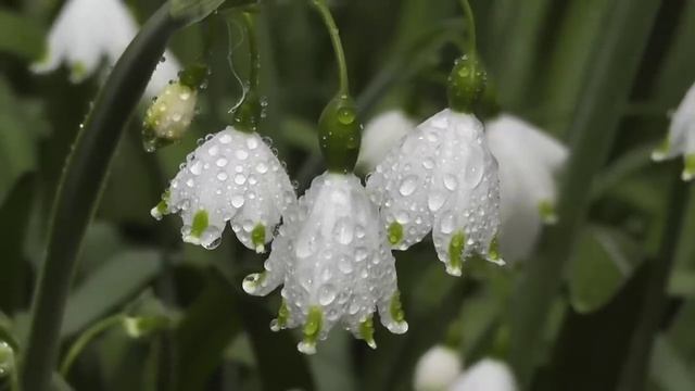 28 июля - Кармический день. Не испытывайте судьбу | Лунный Календарь смотреть онлайн