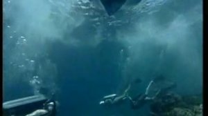 Повторное открытие мира. Жак Ив Кусто. Борнео. Призрак морской черепахи (1989)