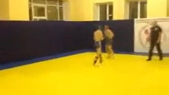 первые соревнования Роберта по смешанным единоборствам смотреть онлайн