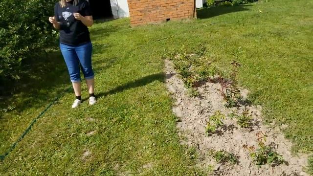 Поиск воды дедовским методом Влог из деревни смотреть онлайн