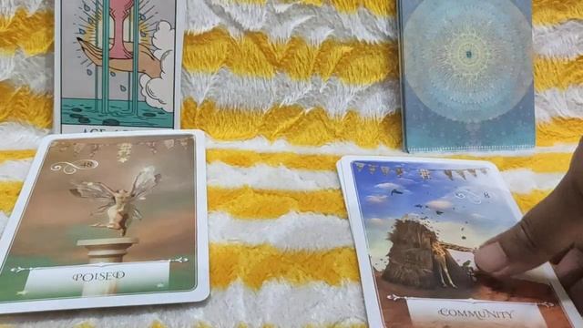 Next Seven Days Tarot & Oracle Messages // Green Gaia Tarot Elements of Earth // Weekly Tarot // смотреть онлайн
