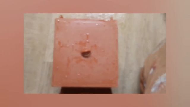 Домики- гнёзда для волнистых попугаев. смотреть онлайн