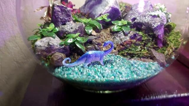 Флорариум из аквариума-шара 5л. Мои флорики. смотреть онлайн