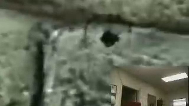 MetaMersion™ Immersive Gaming System (Development Prototype) смотреть онлайн