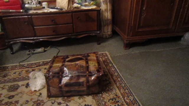 MVI_0160 смотреть онлайн