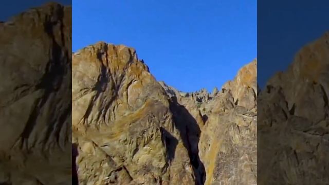Карадаг яд змеи смотреть онлайн