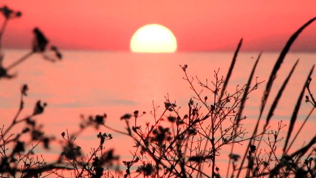 Схід сонця що бадьорить свідомість смотреть онлайн