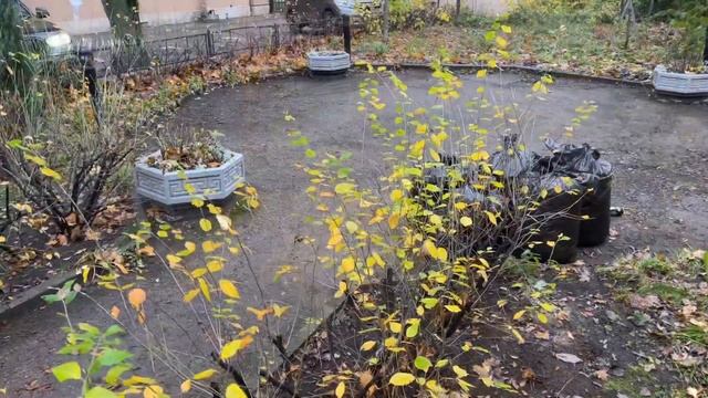 Добрый осенний субботник 2022 смотреть онлайн