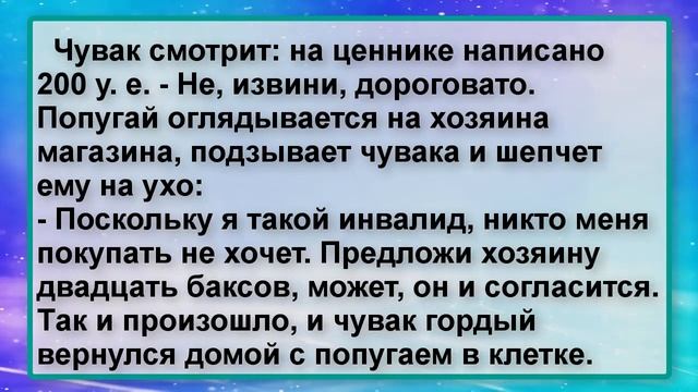 Смешной Пикантный Анекдот! Смех до слез!? смотреть онлайн