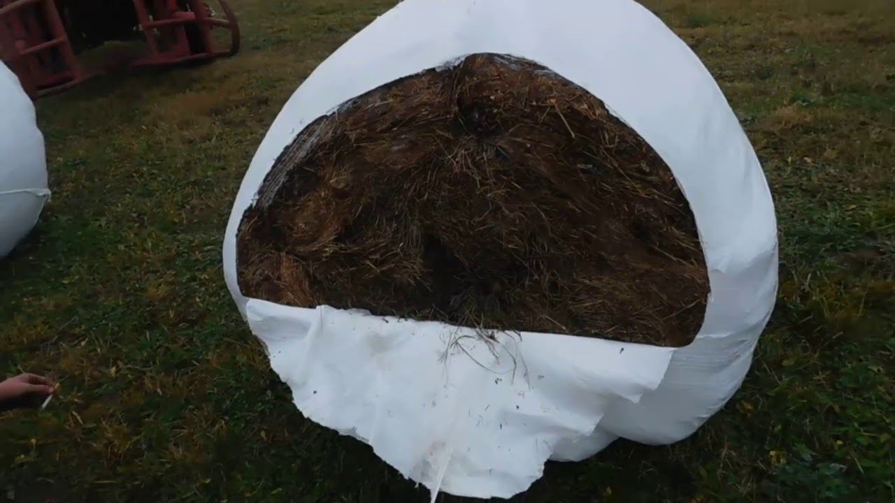 ПОЧЕМУ ТАКОЙ ПЛОХОЙ СЕНАЖ?КАК ЕГО ХРАНИТЬ!! смотреть онлайн