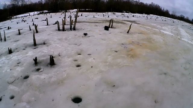 Последний лёд! (1) Рыбалка 25.03.2023г.