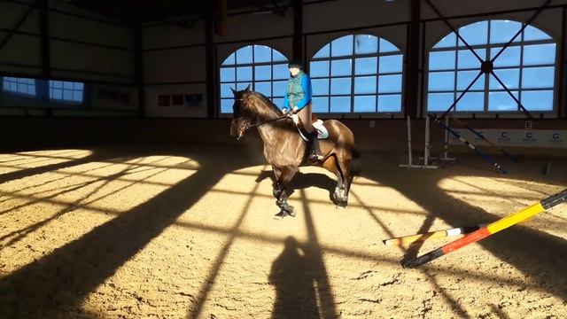 20170208 Кумана. Молодая вестфальская кобыла. Первые прыжки. Тренировка с Сандро Чихладзе смотреть онлайн