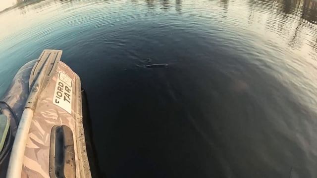 Alex Crazy Fisherman - S2:E10 MEDĪJAM LIELOS смотреть онлайн