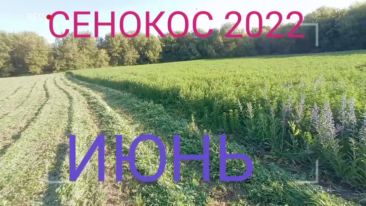 15 ИЮНЯ. СЕНОКОС 2022.