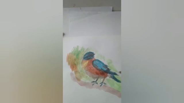 How to draw a bird/ Рисуем птичку акварелью смотреть онлайн