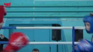 Закрытие турнира по боксу