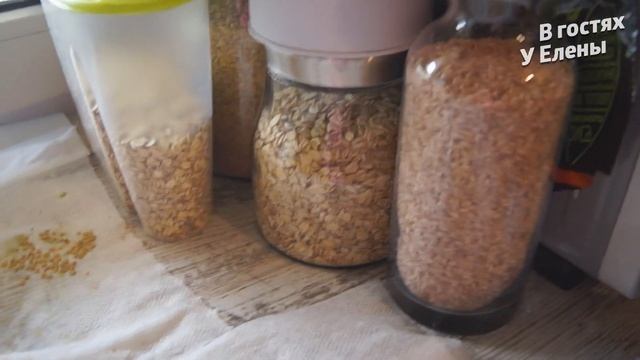 ДАЧА.ОШИБКА С МИРАБЕЛЛОЙ. ФАРШИРУЮ МЯЧИК. ГОТОВЛЮ ПЕРЕКУС. СБОР СЕМЯН. смотреть онлайн