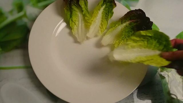 Как приготовить весенний салат. Быстро и просто. Salat Rezepte.