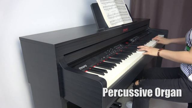 Flychord DP420K Digital Piano Overview And Demo