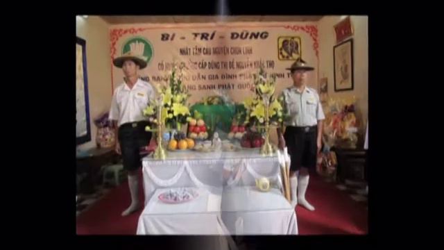DVD Thong gia ru bong смотреть онлайн