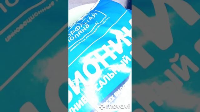 ПОДГОТОВКА ПОЧВЫ К ПОСАДКЕ РАССАДЫ 2023Г. ОГОРОД НА КУБАНИ. shorts# смотреть онлайн