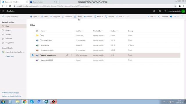 OneDrive - ქეთევან კიკნაძე