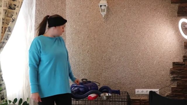 Что нужно иметь для посещения выставки собак.Что взять в дорогу на выставку. смотреть онлайн
