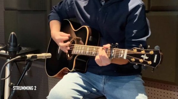 YAMAHA APX1200 II Sound Test (No effect!)