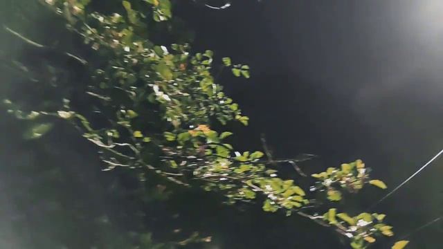 VID 20231002 201454 Служа заблудшему...(Луис Каррильо де Сотомайор)...Павел Васильев Лахтинский смотреть онлайн