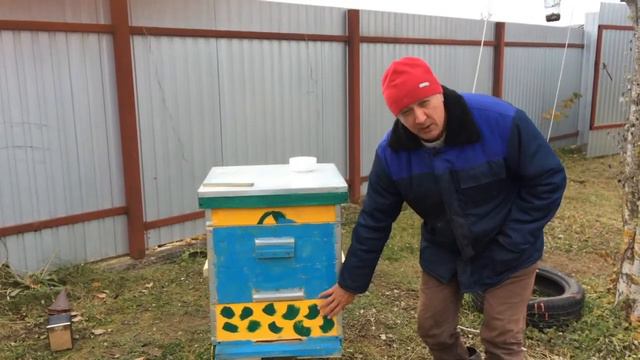 Подготовка пчёл в зиму. Мой первый опыт смотреть онлайн