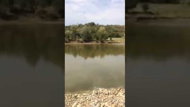 Участок 2,2га смотреть онлайн