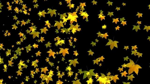 Листья осенние смотреть онлайн