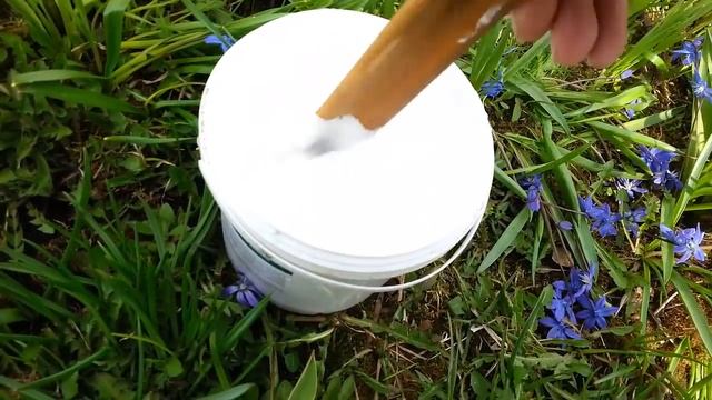 ПОБЕЛКА | ДЕРЕВЬЕВ | ВЕСНОЙ | ОСЕНЬЮ | СТОЙКАЯ И БЕЛОСНЕЖНАЯ!Чем лучше белить деревья? смотреть онлайн