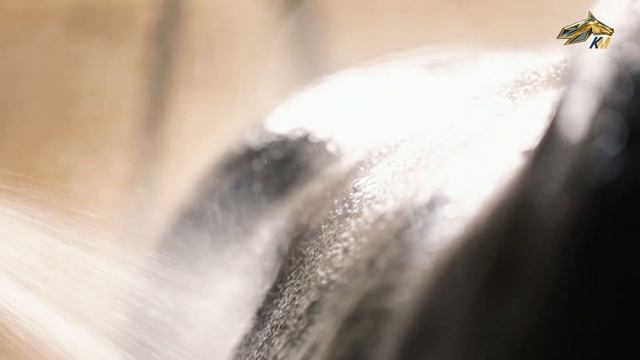 PRO_ЛОШАДЕЙ. Форвард Лок. Эфир 02.10.2022 11:55 смотреть онлайн