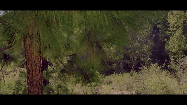 Discover Vilaflor смотреть онлайн