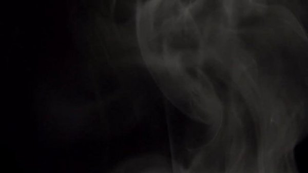 H+D (Humanity + Divinity)