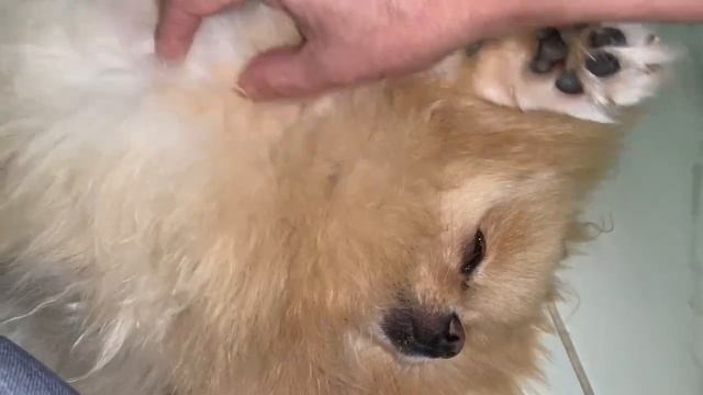 Всем доброй ночи и хороших снов. смотреть онлайн