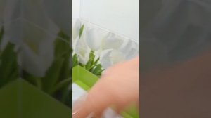 Как измерить давление в водопроводной сети