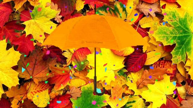 "Волшебный зонтик" музыкальная игра для осеннего праздника смотреть онлайн