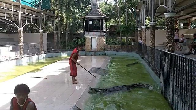 Phuket - Phuket Zoo смотреть онлайн