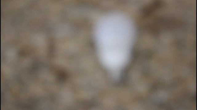 DIY Ceiling Fan Light Bulb Replace And Sizes 