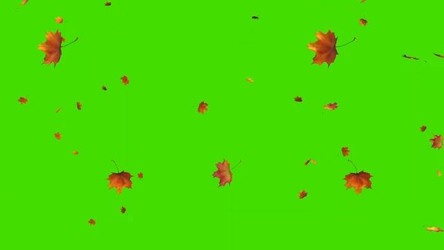 Осень футаж на зелёном фоне смотреть онлайн