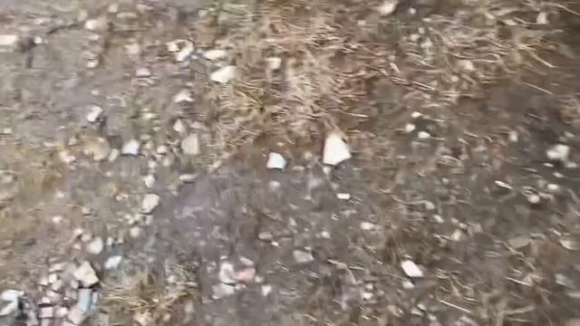 КОЛЁСА ВЕРНУЛИСЬ/МЕРСЕДЕС ОЖИЛ смотреть онлайн